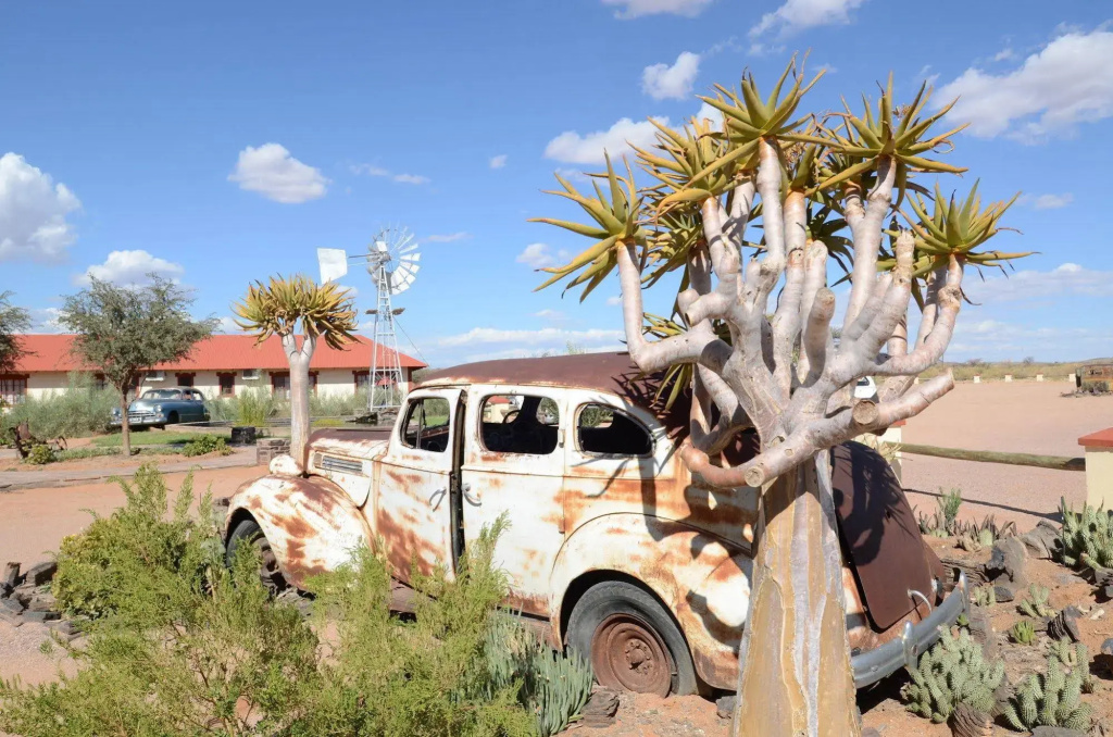 Canyon Roadhouse - Général
