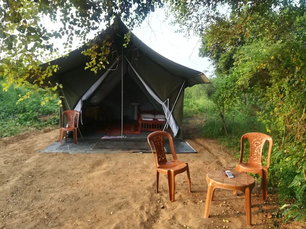 Wild eco safari
