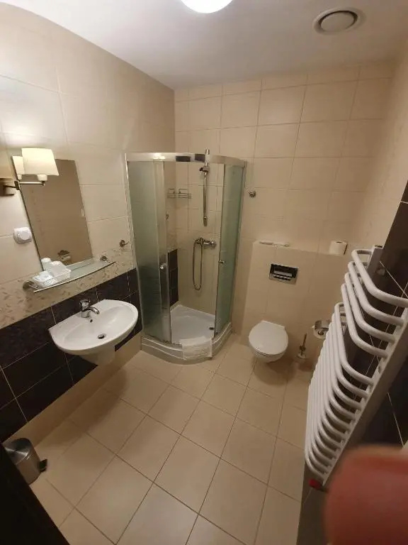 Hotel Pod Dębami - Chambres