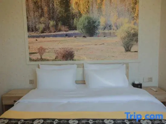 Standard Double room (full double bed)