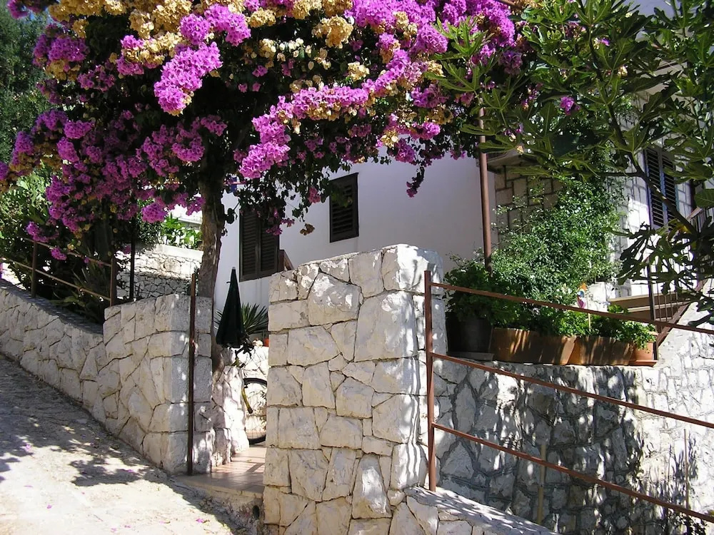 Apartments Katica