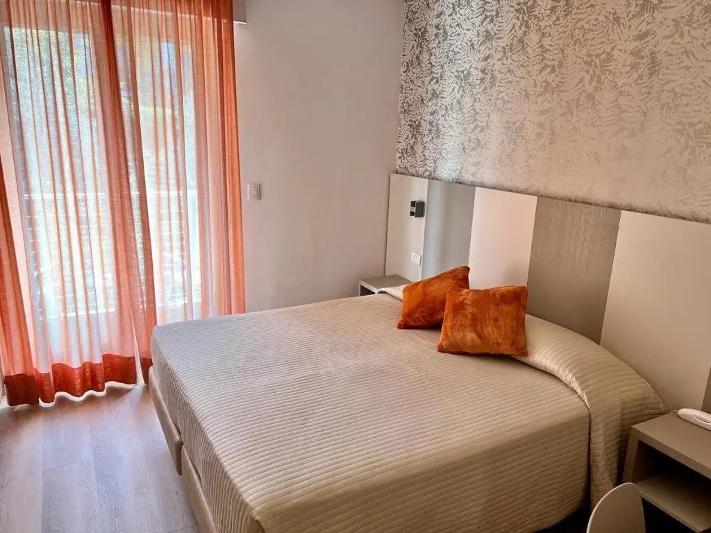 Standard Double room with mountain view (full double bed)