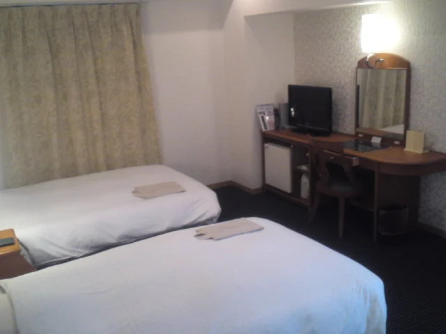 Standard Double room (twin beds)
