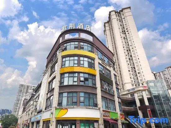 Chongqing Zijin Hotel (Jiangjin Jinke World City)