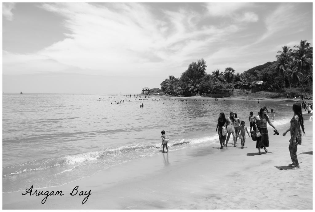 East Surf Cabanas - Général