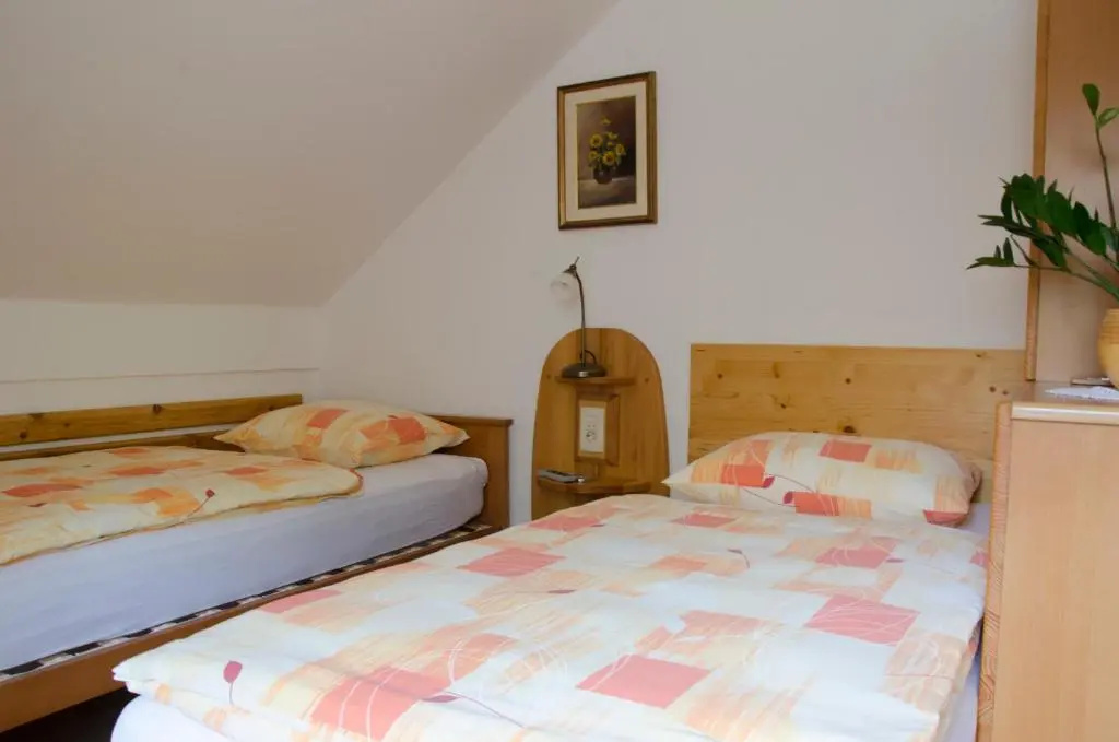Standard Double room with balcony (twin beds)