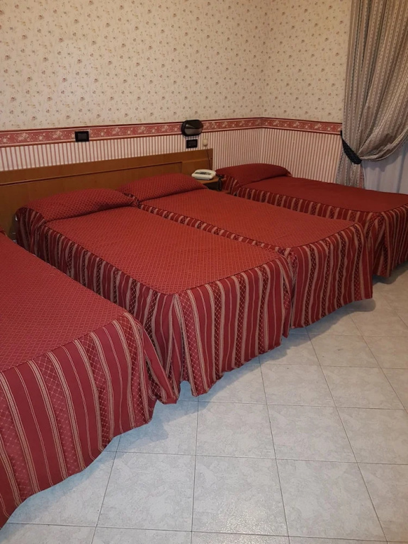 Demetra Capitolina Hotel - Général