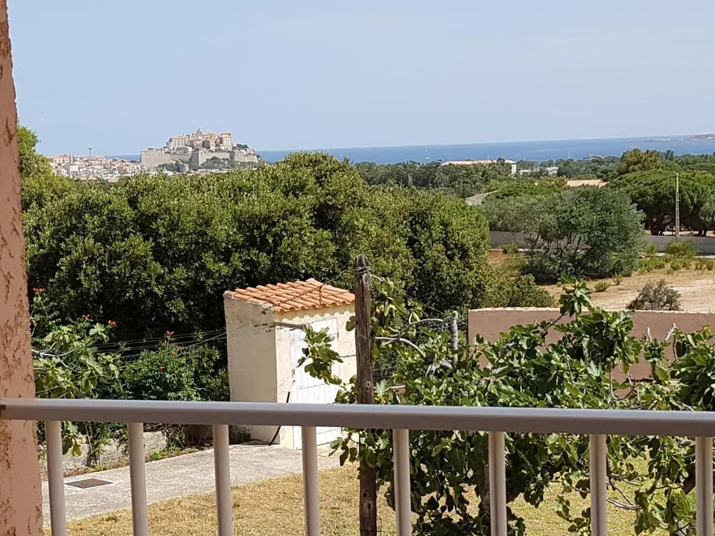 Balcony & Terrace