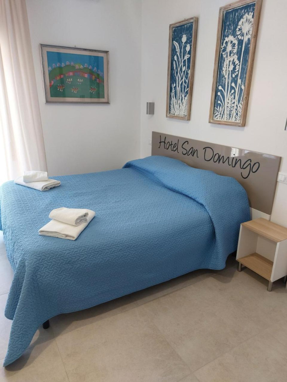 Hotel San Domingo - Général