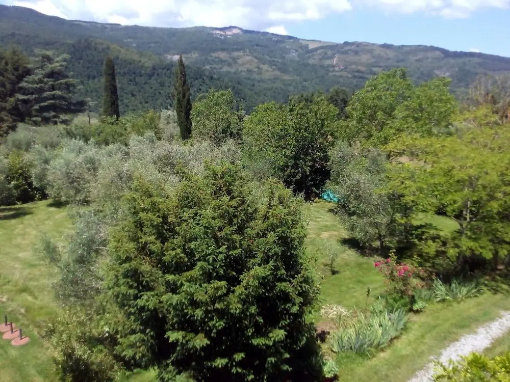 Terra Santa