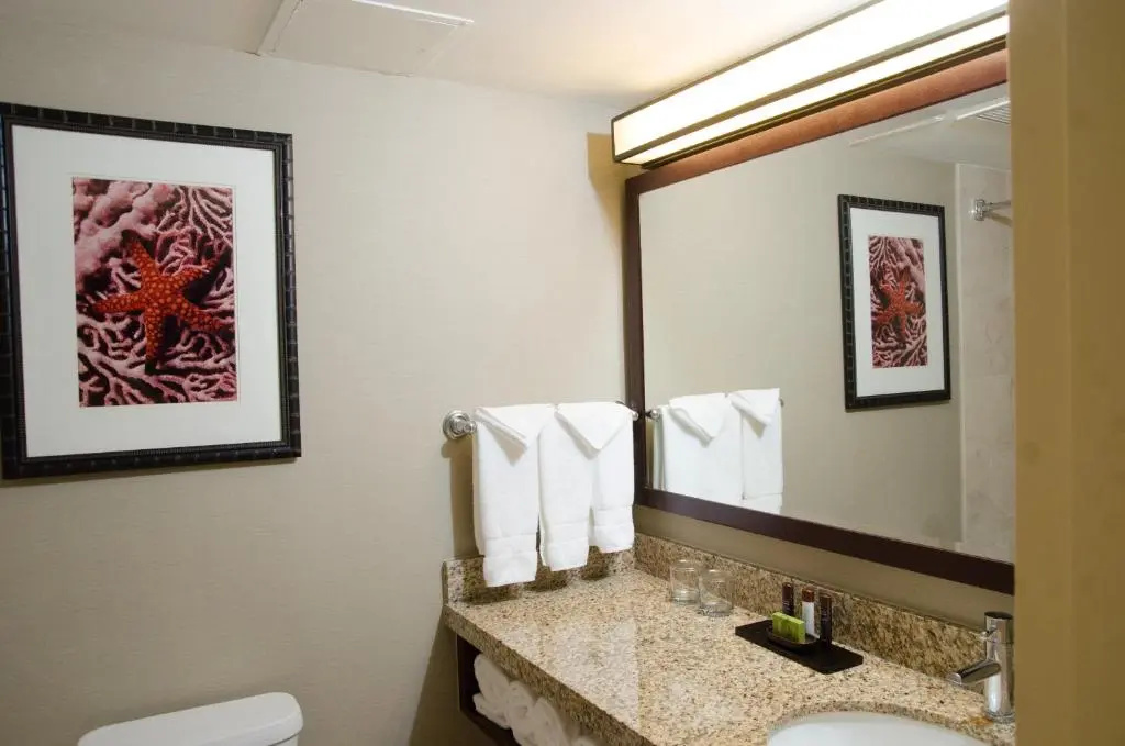 Embassy Suites by Hilton West Palm Beach Central - Chambres