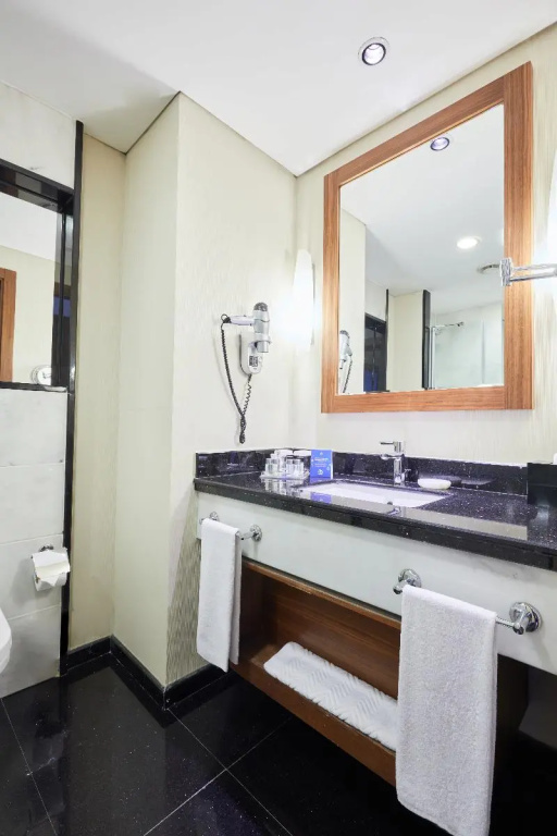 Dedeman Konya Hotel And Convention Center - Chambres