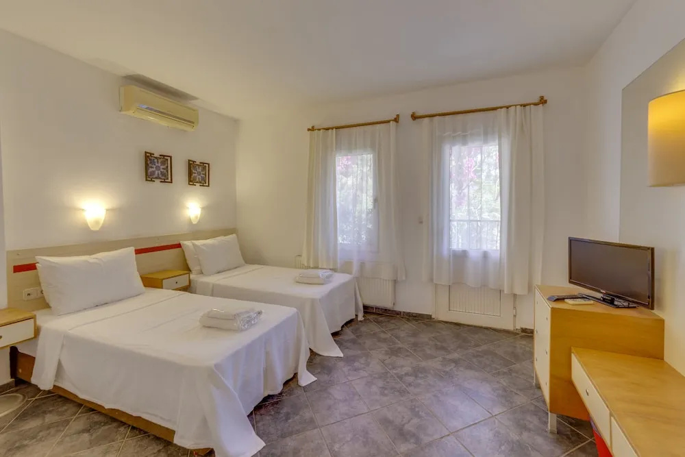 Standard Double room (twin beds)