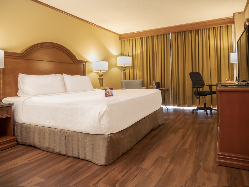 Crowne Plaza Monterrey by IHG - Général