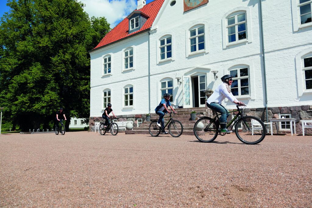 Haraldskær Sinatur Hotel & Konference picture