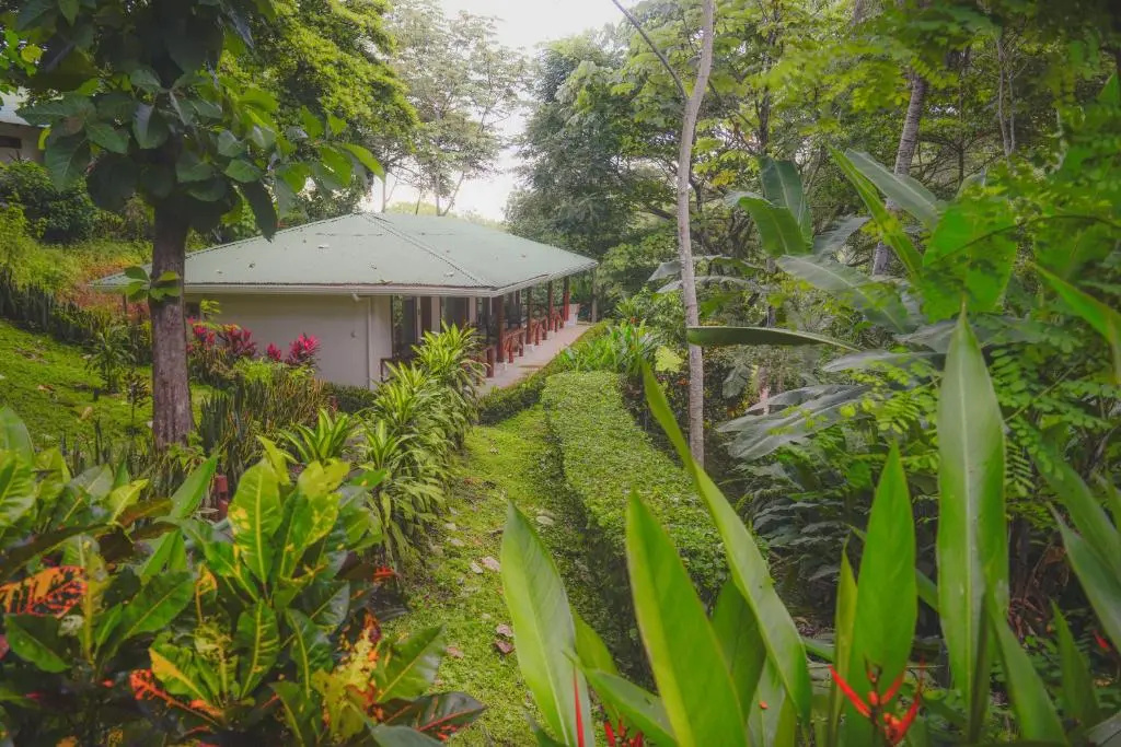 Hotel Cerro Lodge - Chambres