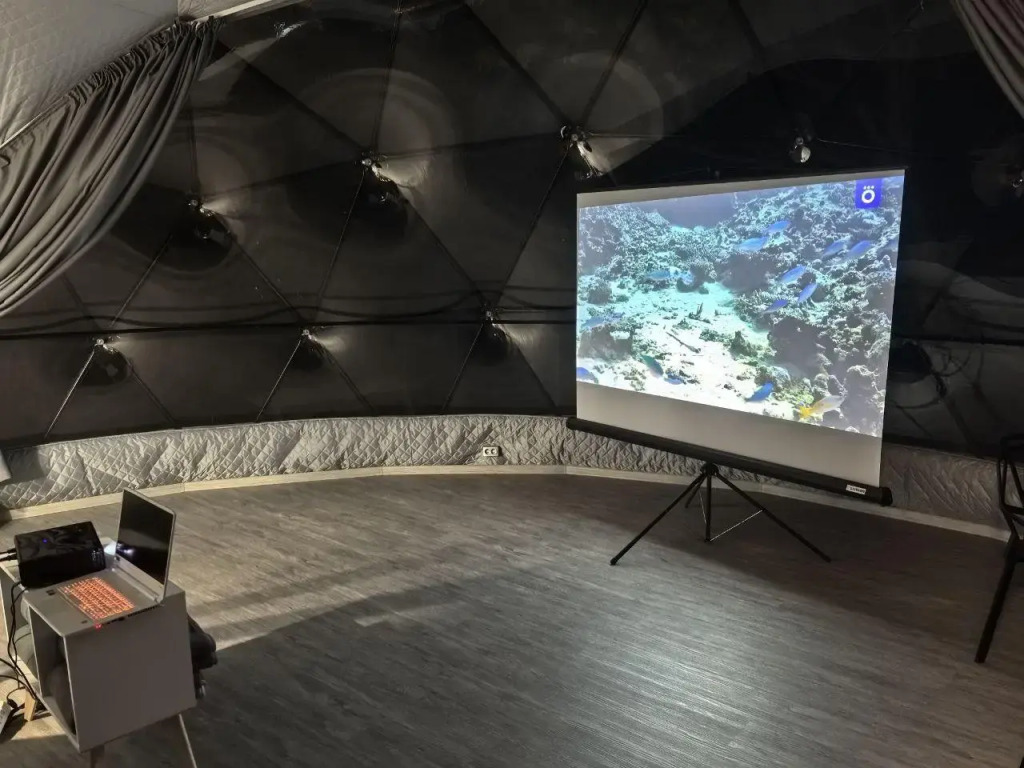 Кусто - фото 17