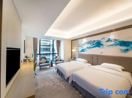 Deluxe Double room with city view (twin beds)