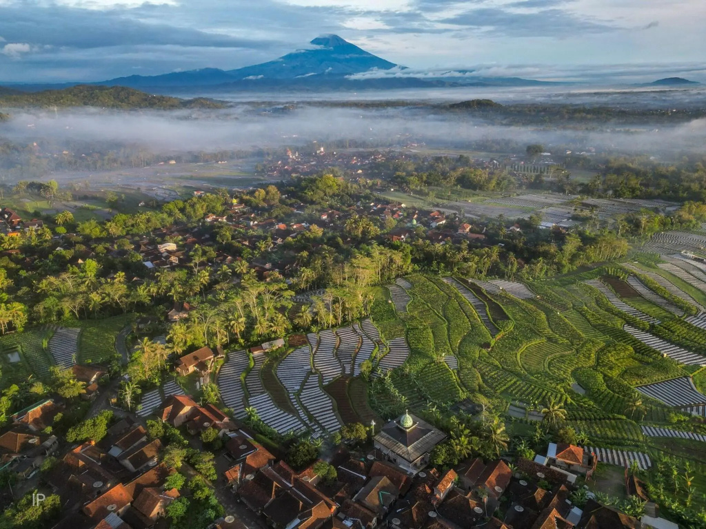 Villa Borobudur Resort - фото 41