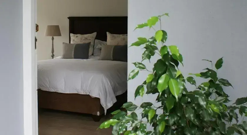 Bateleur Guesthouse - Général