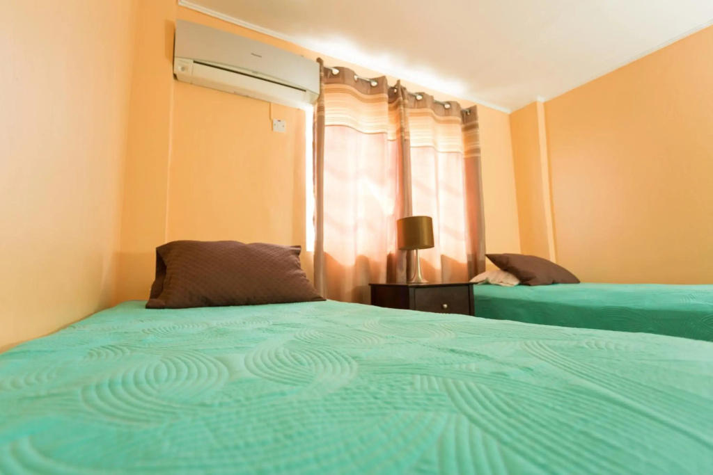 Cozy Accommodations 1 - Général