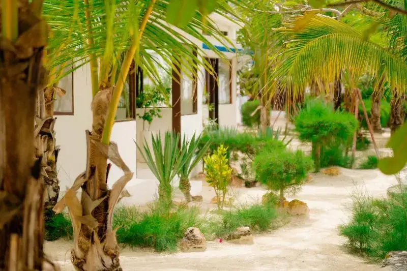 Indigo Beach Zanzibar - Chambres
