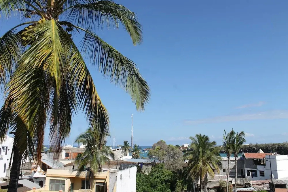 Beach & Waterfront