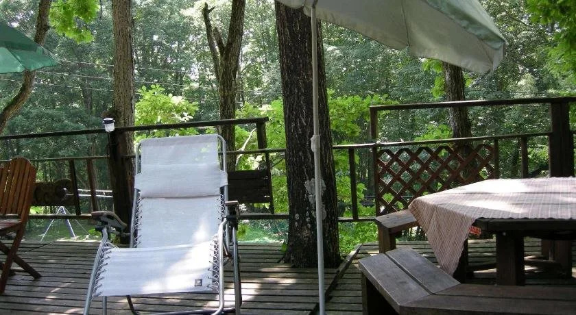 Balcony & Terrace
