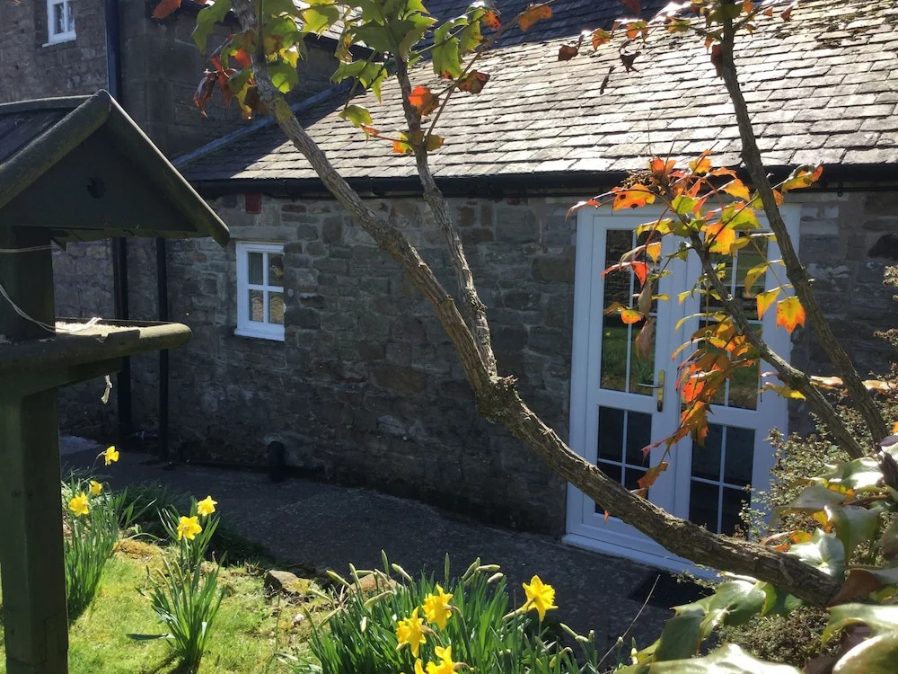 The Snug at Corry Cottage