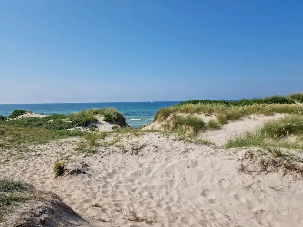 5 Star Holiday Home in Liseleje