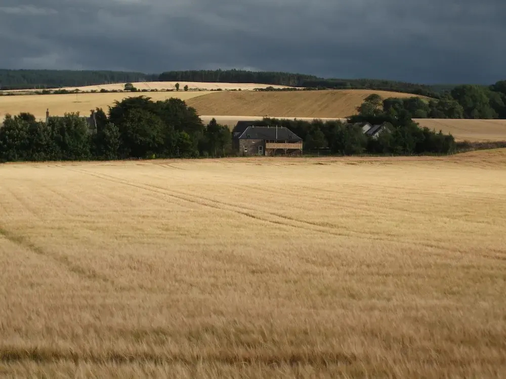 The Granary - Général