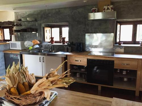 gallery_image_hidden_11