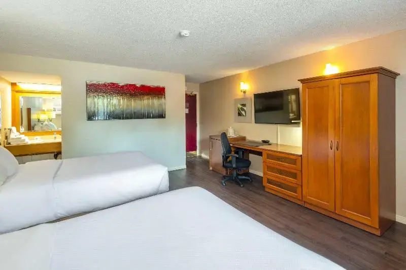 Comfort Inn Mont Laurier - Chambres