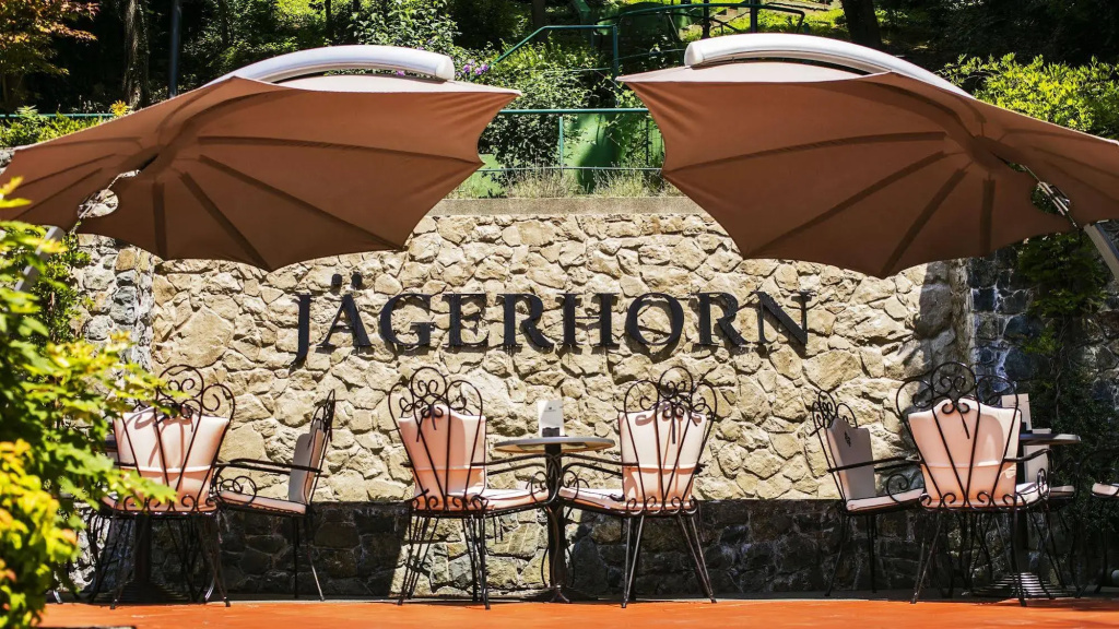 Hotel Jägerhorn - Général