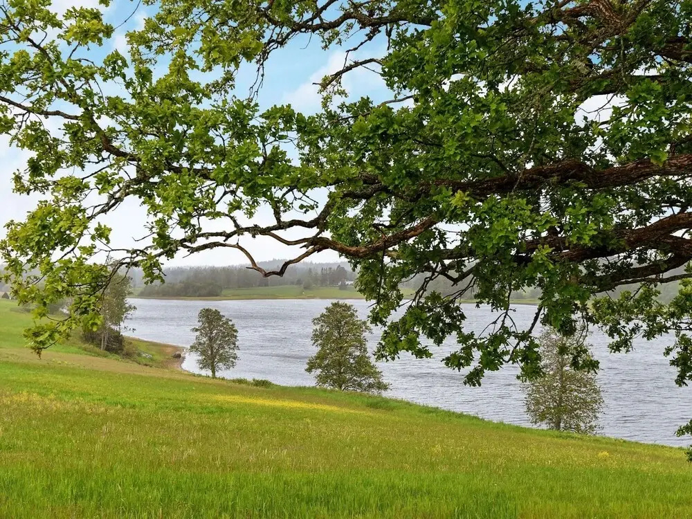 4 Person Holiday Home in Frandefors