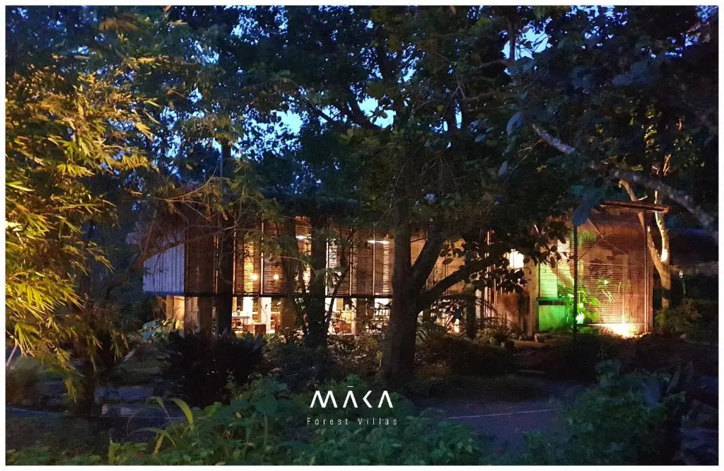 Maka-Kalinaw 5 Wabi sabi Room, Forest Deck View