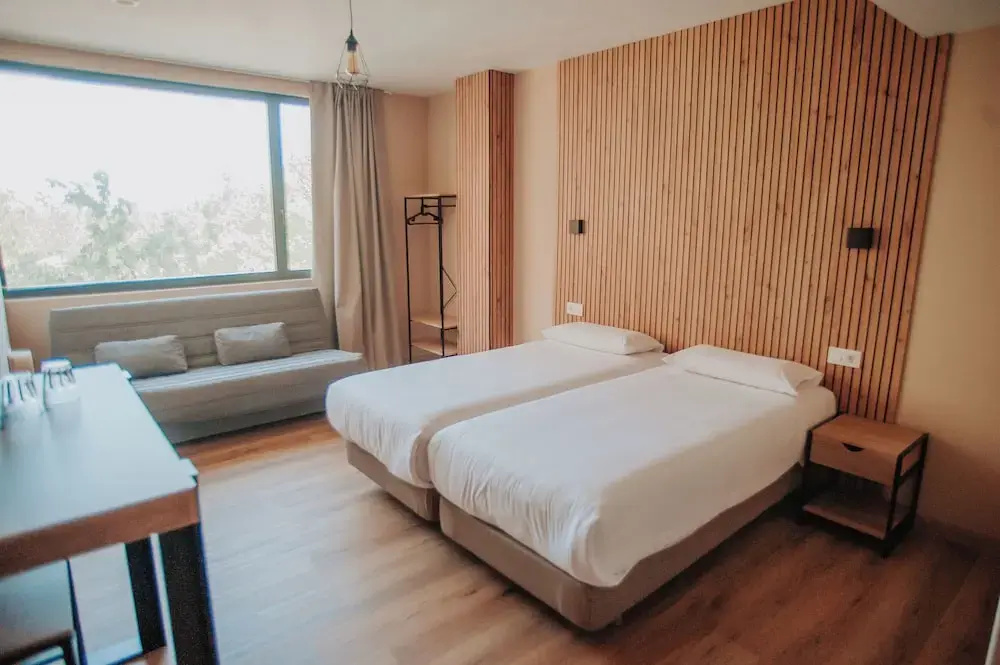 Deluxe Double room with city view (twin beds)