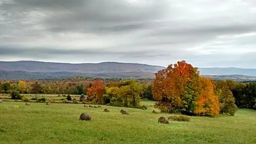 Meadowood Farm