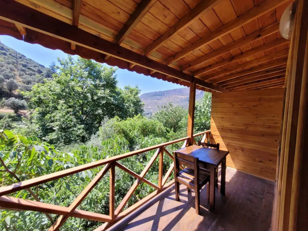 Balcony & Terrace