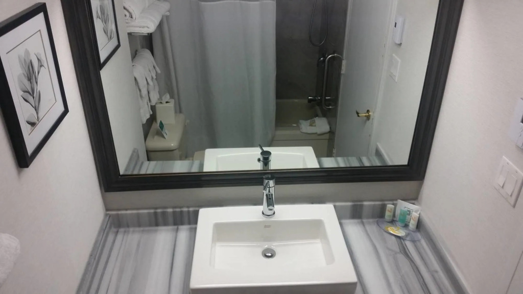 Quality Inn & Suites Gatineau - фото 11