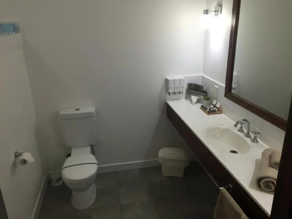 Deluxe Double Suite full double bed