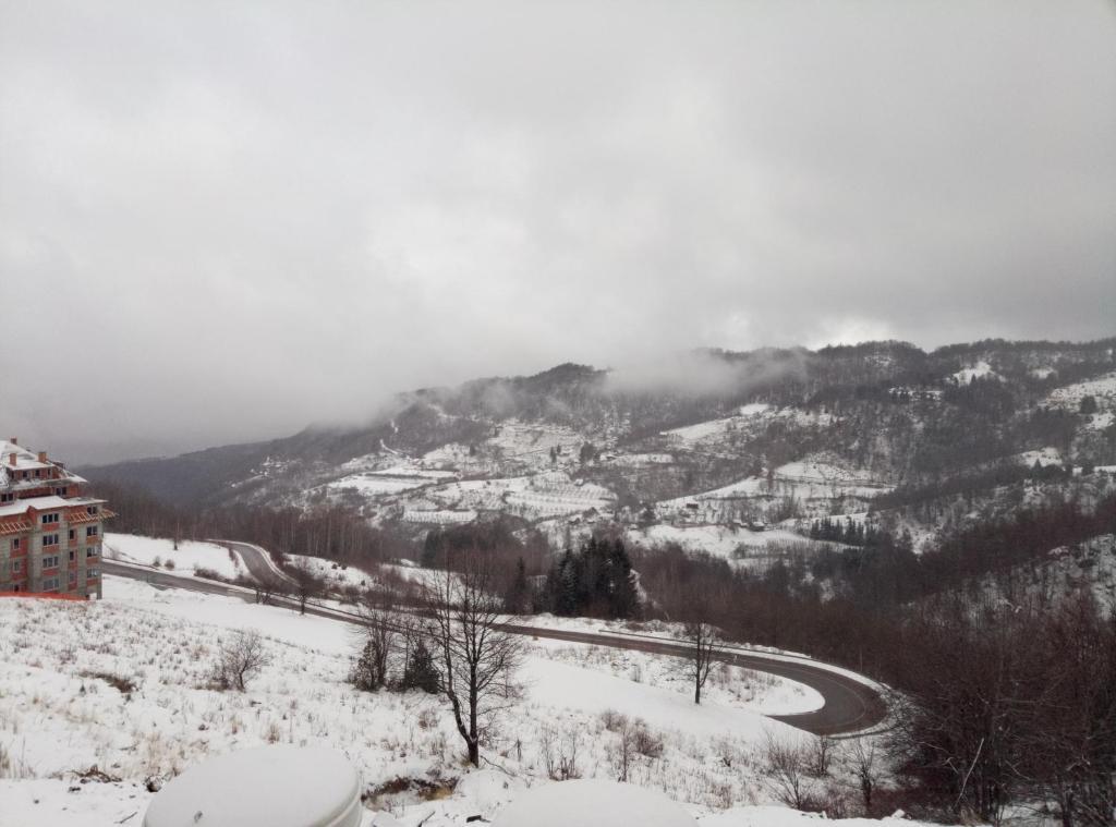 Отель Studio Šilja L22 Milmari, фото 1