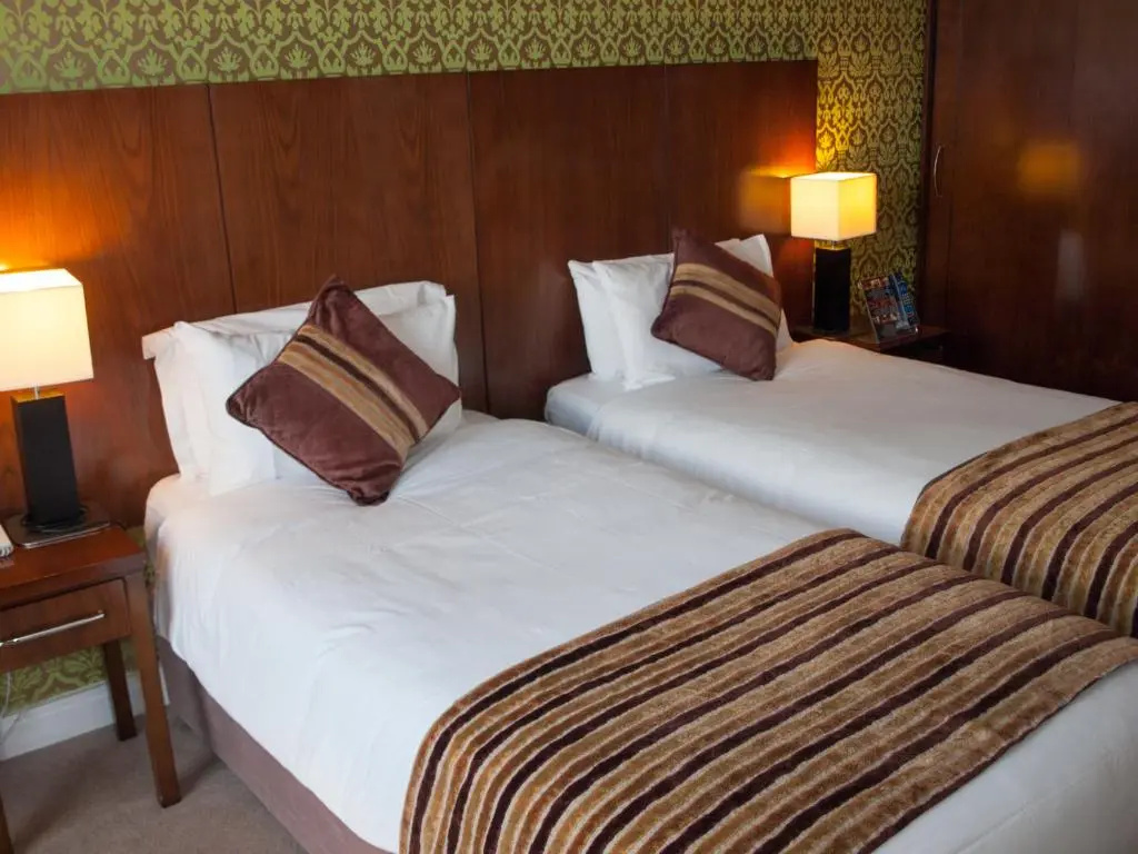 The George Limerick Hotel - Chambres