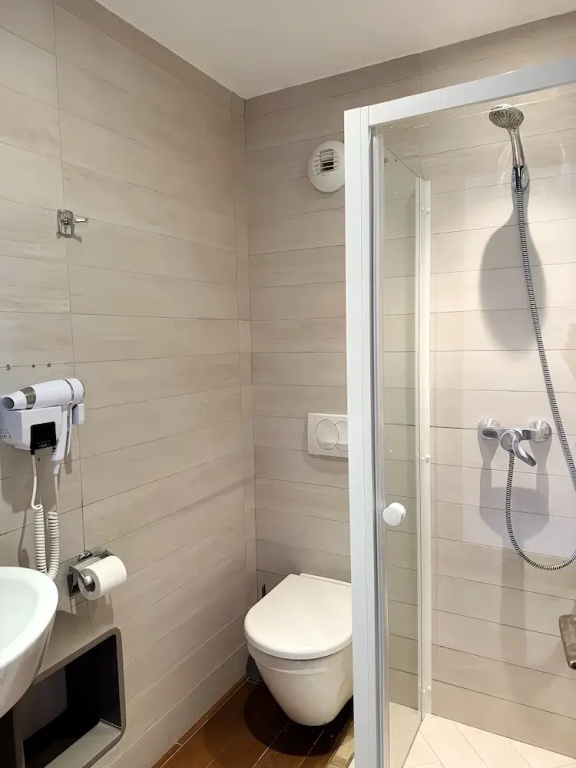 Standard Double room with mountain view (full double bed)