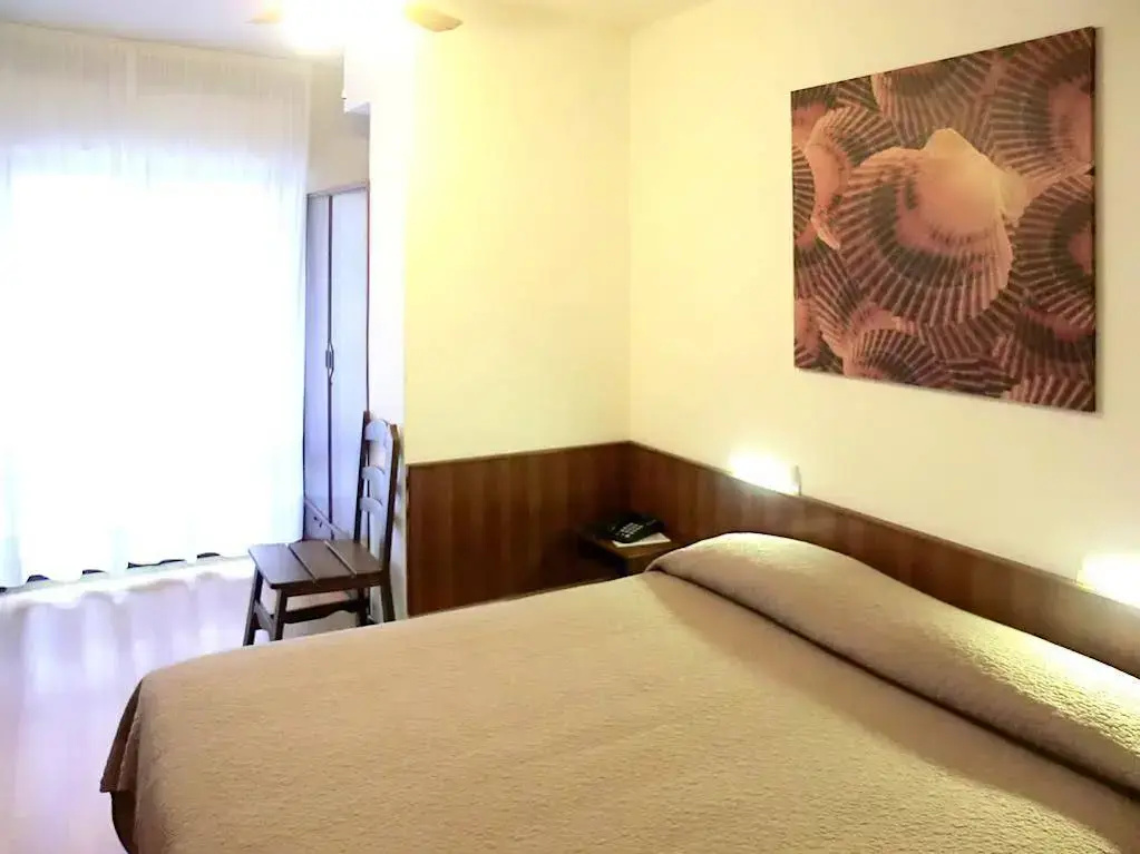 Hotel Carol - Général