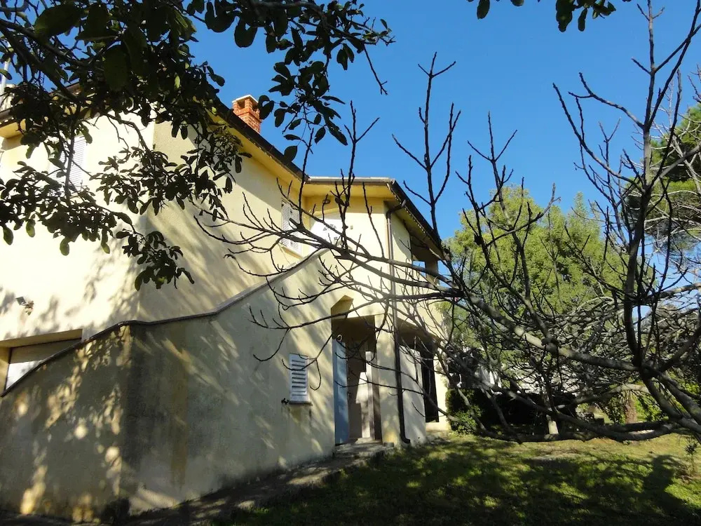 Apartment Bolko