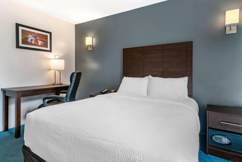 Standard Double room (full double bed)