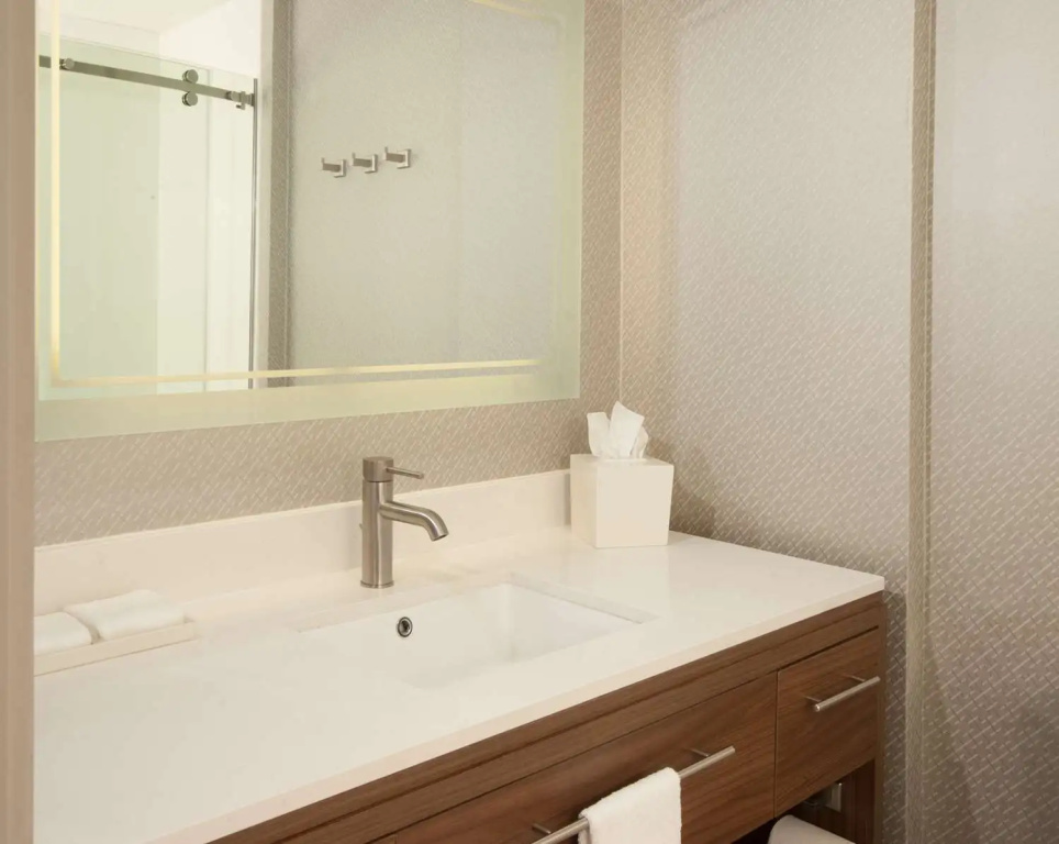 Home2 Suites by Hilton Atlanta Perimeter Center - Chambres
