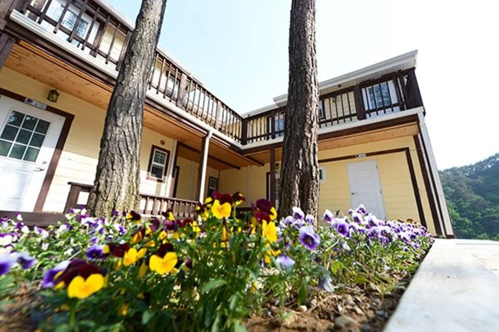 Jeongseon Sky Pension - фото 1