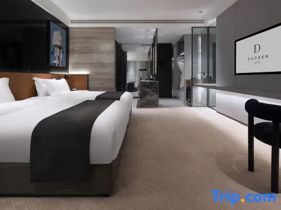 Standard Double room with city view (twin beds)